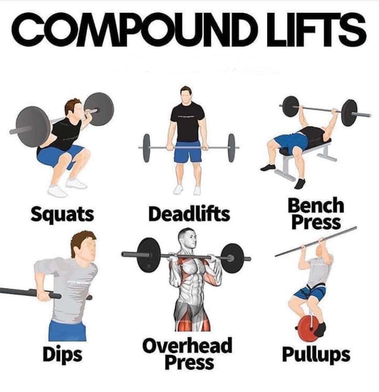 Compound Lifts Why You Need Them In Your Workout Ammfitness